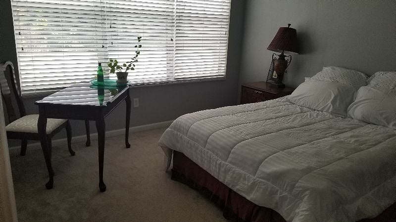 Furnished Finder property 293106_1 photo 16