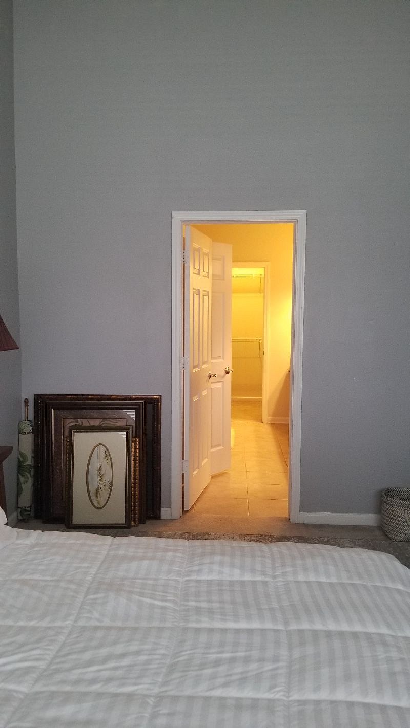 Furnished Finder property 293106_1 photo 17