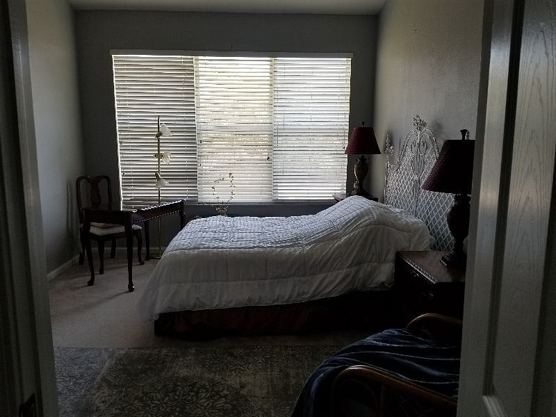 Furnished Finder property 293106_1 photo 23
