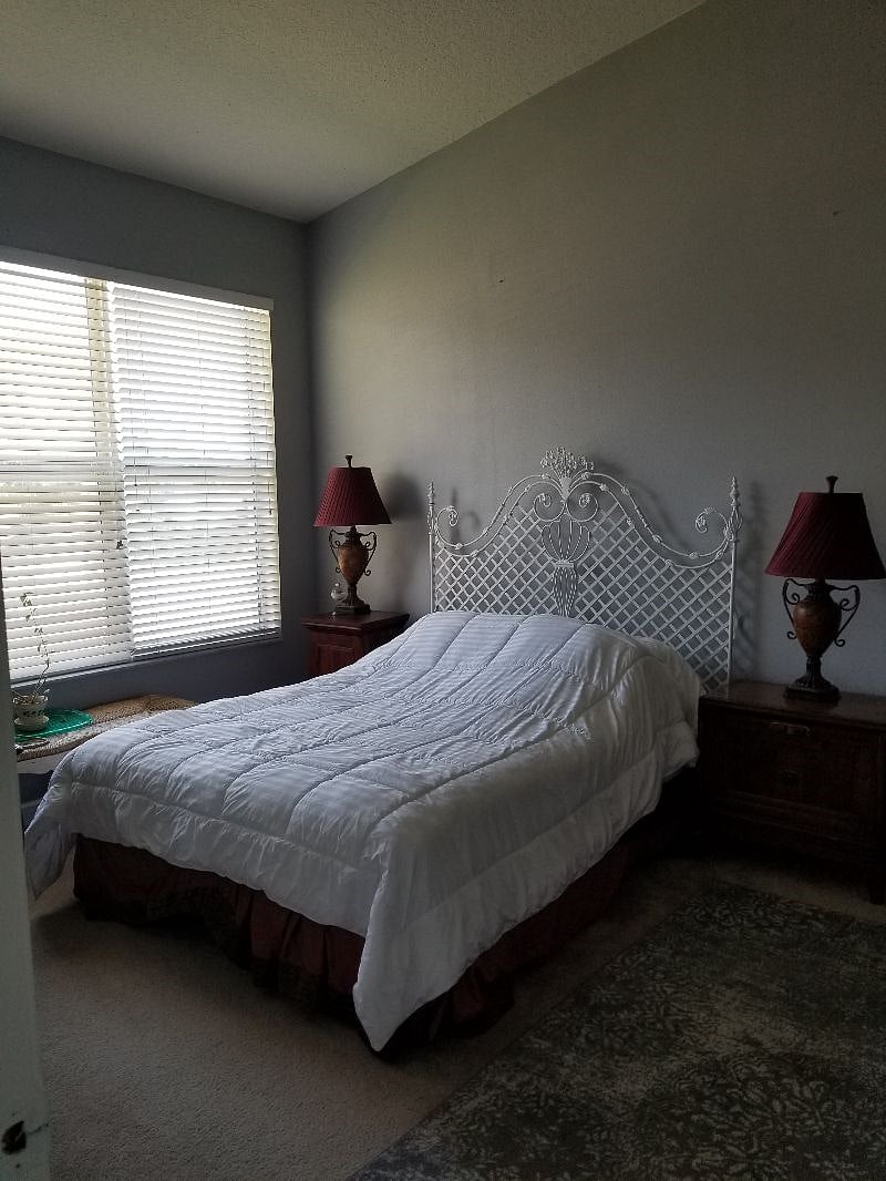 Furnished Finder property 293106_1 photo 24