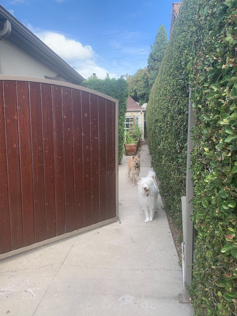 Private entrance to property via driveway gate.