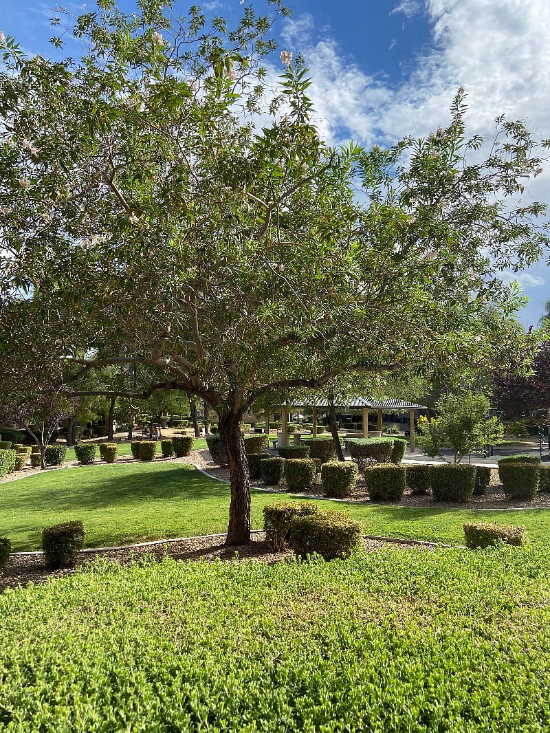 Furnished Finder property 293144_1 photo 24