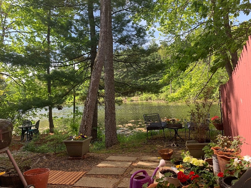 Furnished Finder property 293194_1 photo 14