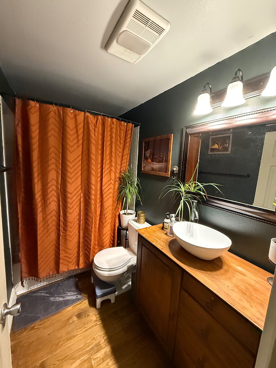 Furnished Finder property 293348_1 photo 13