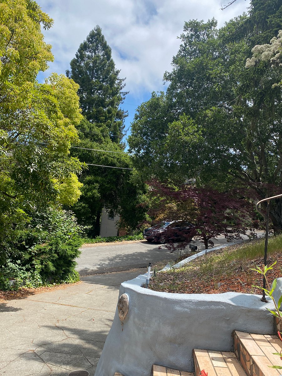 Beautiful, tree lined street in one of the best neighborhoods in the East Bay!