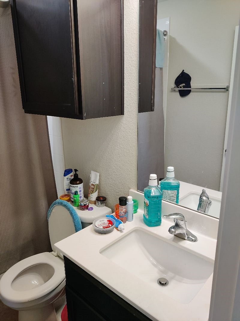 Furnished Finder property 293513_1 photo 35