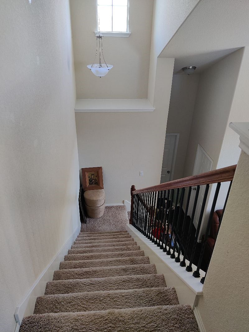 Furnished Finder property 293513_1 photo 44