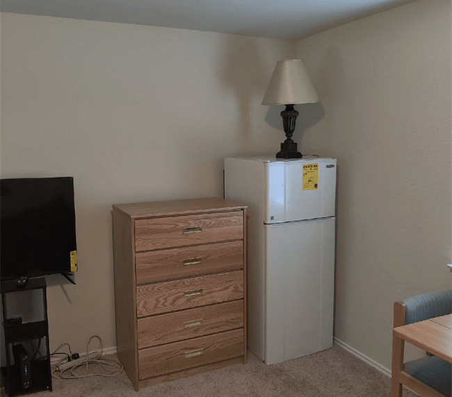 Flat screen TV, wardrobe and fridge with a lamp