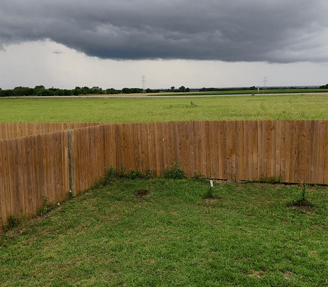Landscaped backyard 