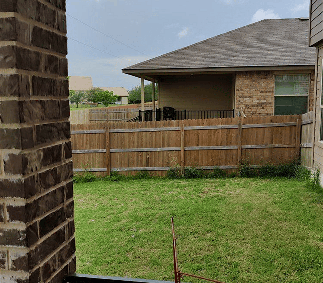 Landscaped backyard 