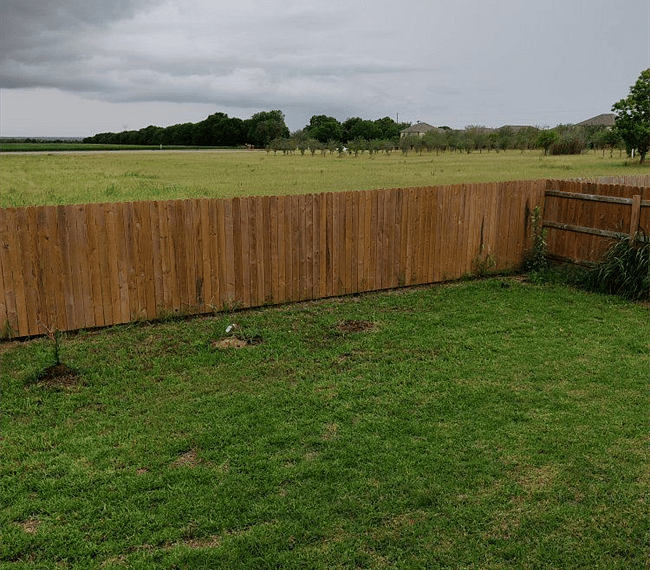 Landscaped backyard 