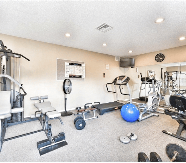 Furnished Finder property 293575_1 photo 38