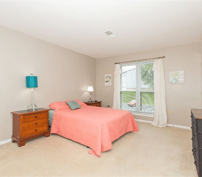 Furnished Finder property 293861_1 photo 21