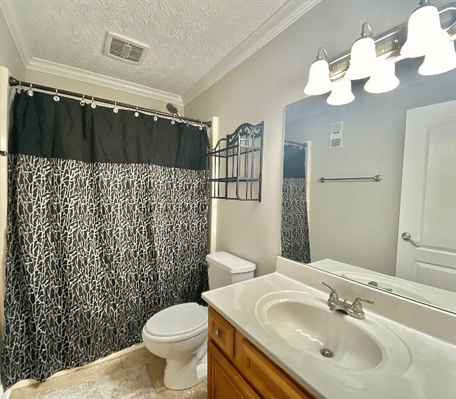Furnished Finder property 294028_1 photo 10