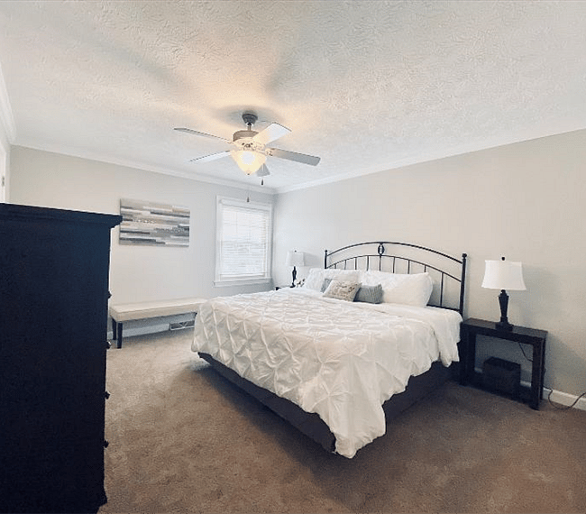 Furnished Finder property 294028_1 photo 9