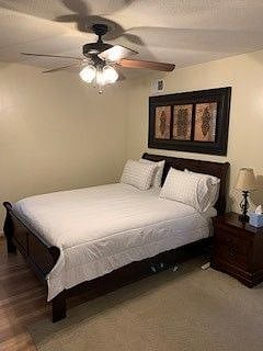 Queen Size bedroom w/55 in smart TV, 2 dressers and full size closet
