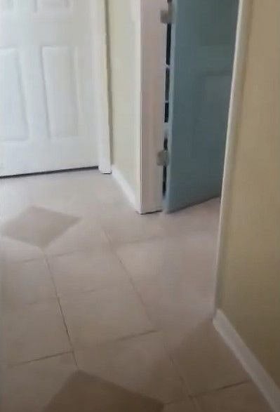 Furnished Finder property 294189_1 photo 14