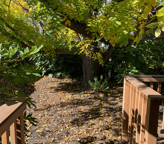 Steps leading into the enclosed back garden which has a large walnut tree. The house also has a small deck in the back with a mountain view.