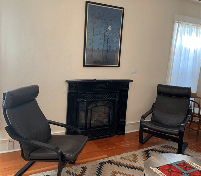 A gas fireplace.