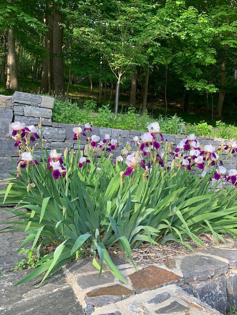 blooms for every season