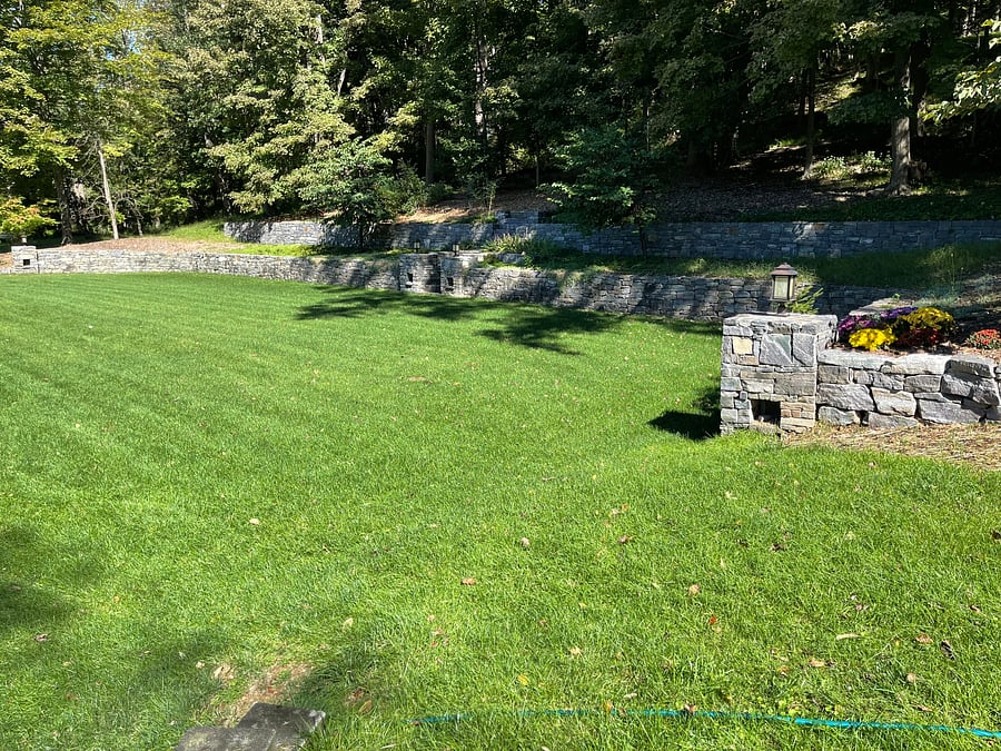 Expansive lawns
