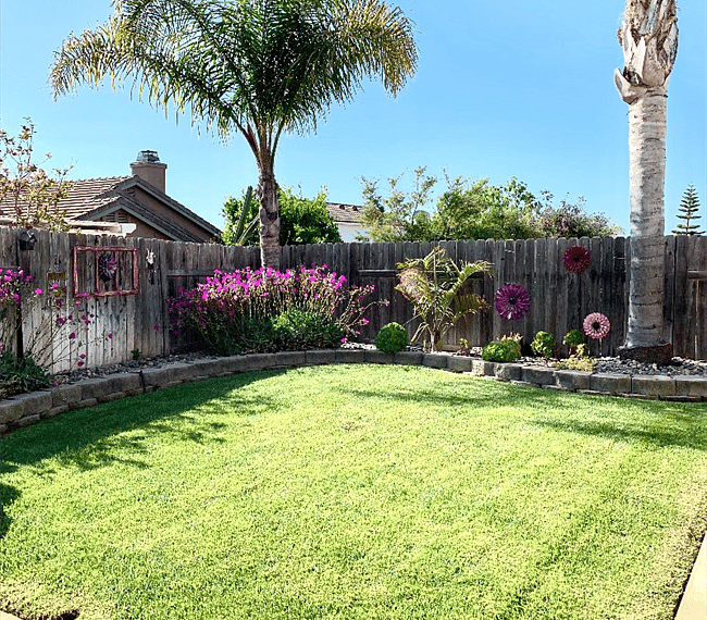 Backyard landscape.