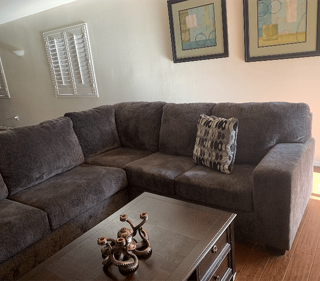 Main living room couch.