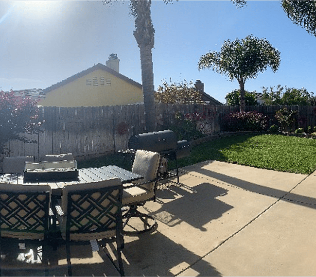 Backyard perfect for getting some sun!