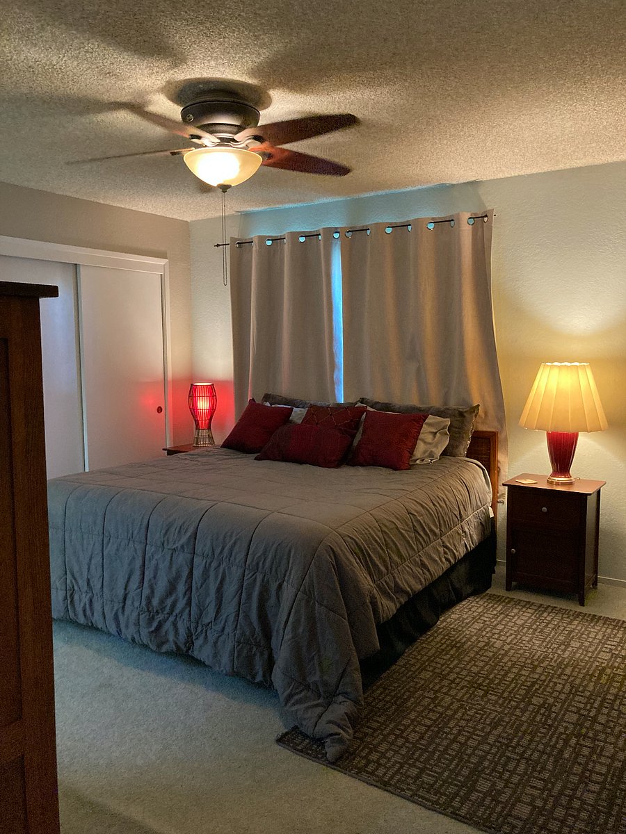 Furnished Finder property 294350_1 photo 9