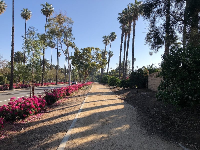 Historic Victoria Avenue