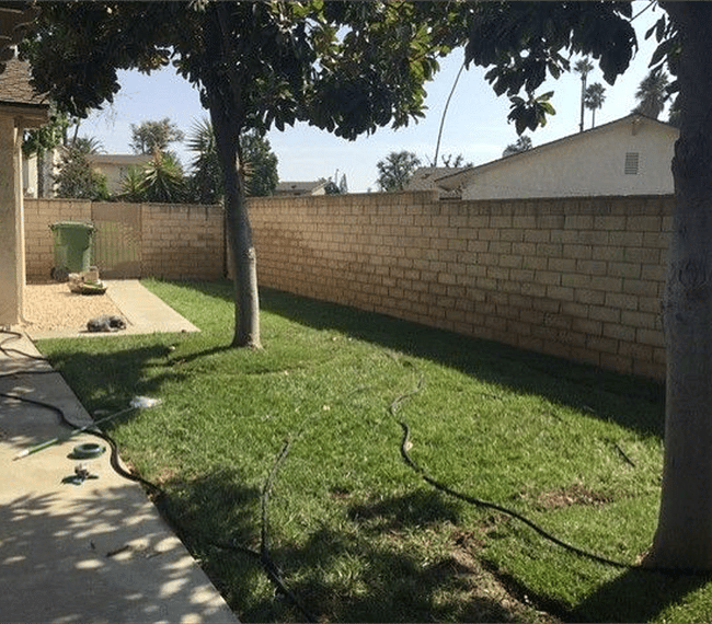 Side yard off Family room