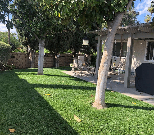 Covered patio off Family room with Weber bar-b-que and wall mounted TV