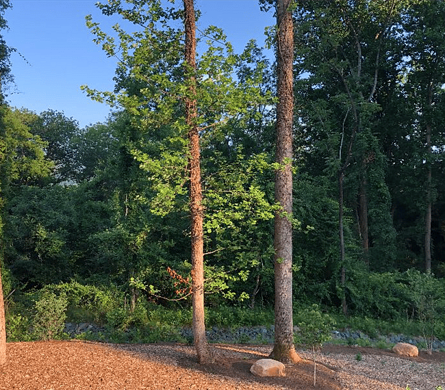 This is your view and you will love the quiet neighborhood!