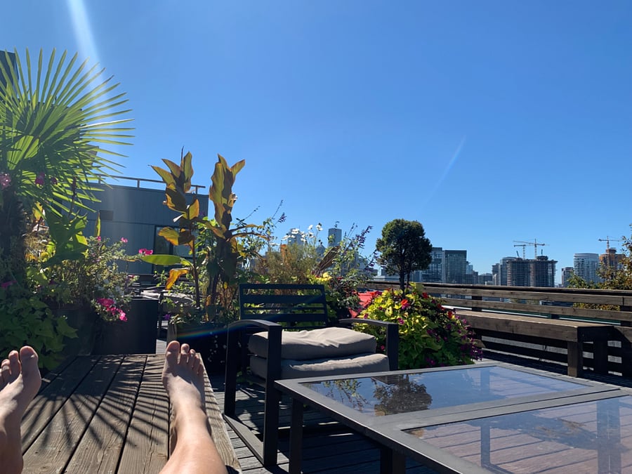 Views from the roof deck