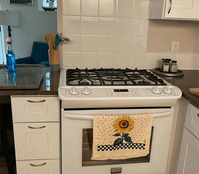 Gas stove and oven
