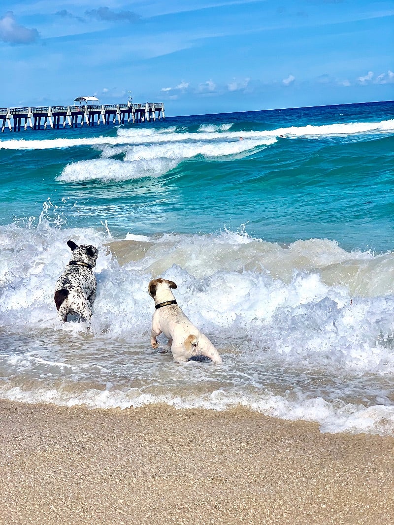 Lake Worth Beach Pier