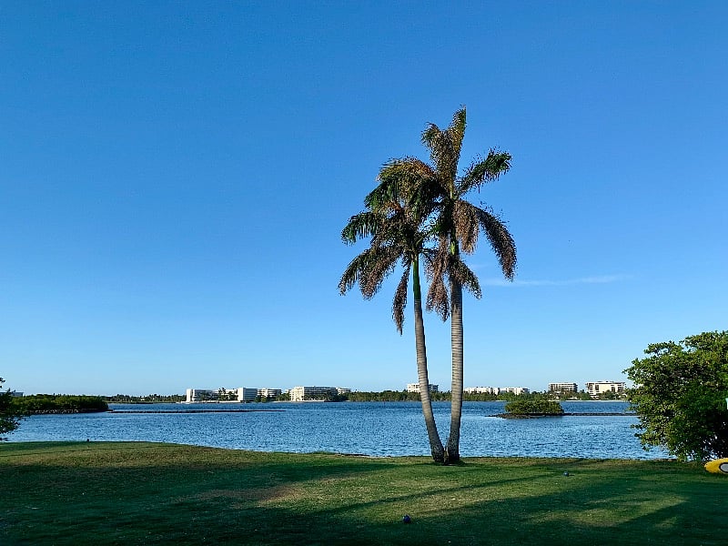 Lake Worth Golf Club...6 min walk from house