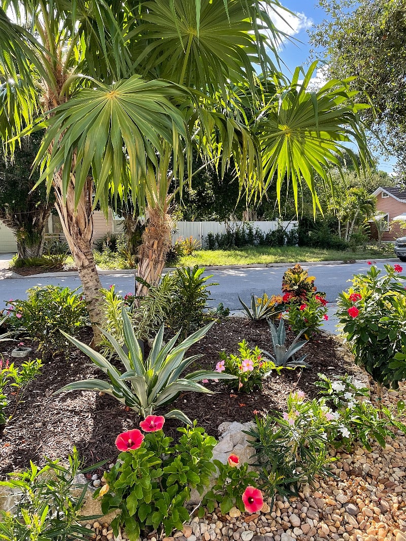 View to street from porch