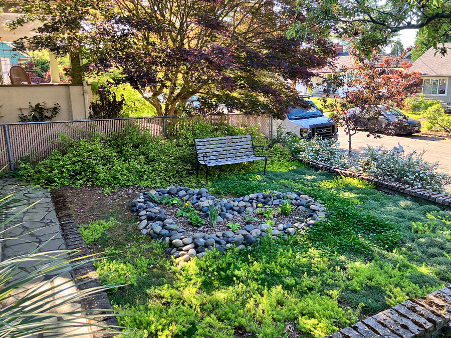 Bench in front yard to drink coffee, read, hangout.