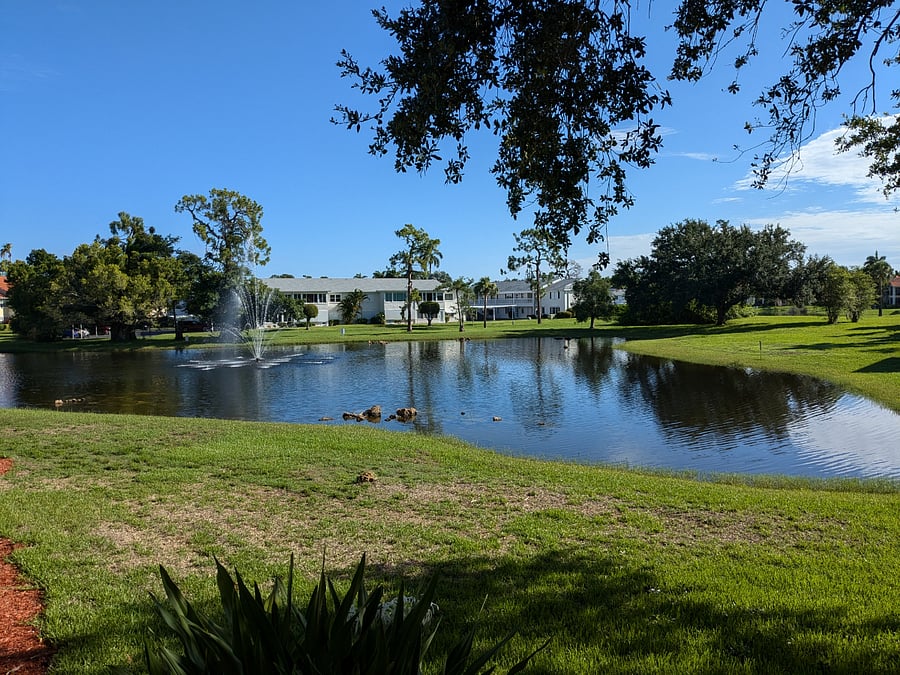 Furnished Finder property 295203_1 photo 14