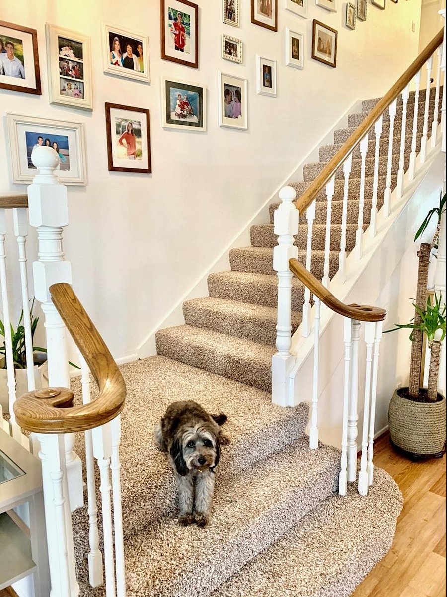 Furnished Finder property 295207_1 photo 10