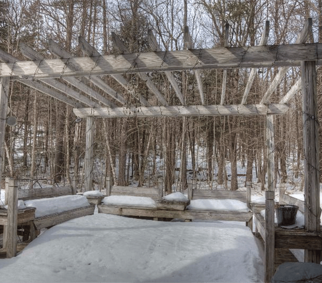 Snow covered backyard