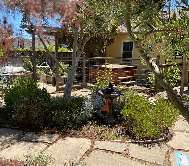 Furnished Finder property 295521_1 photo 16