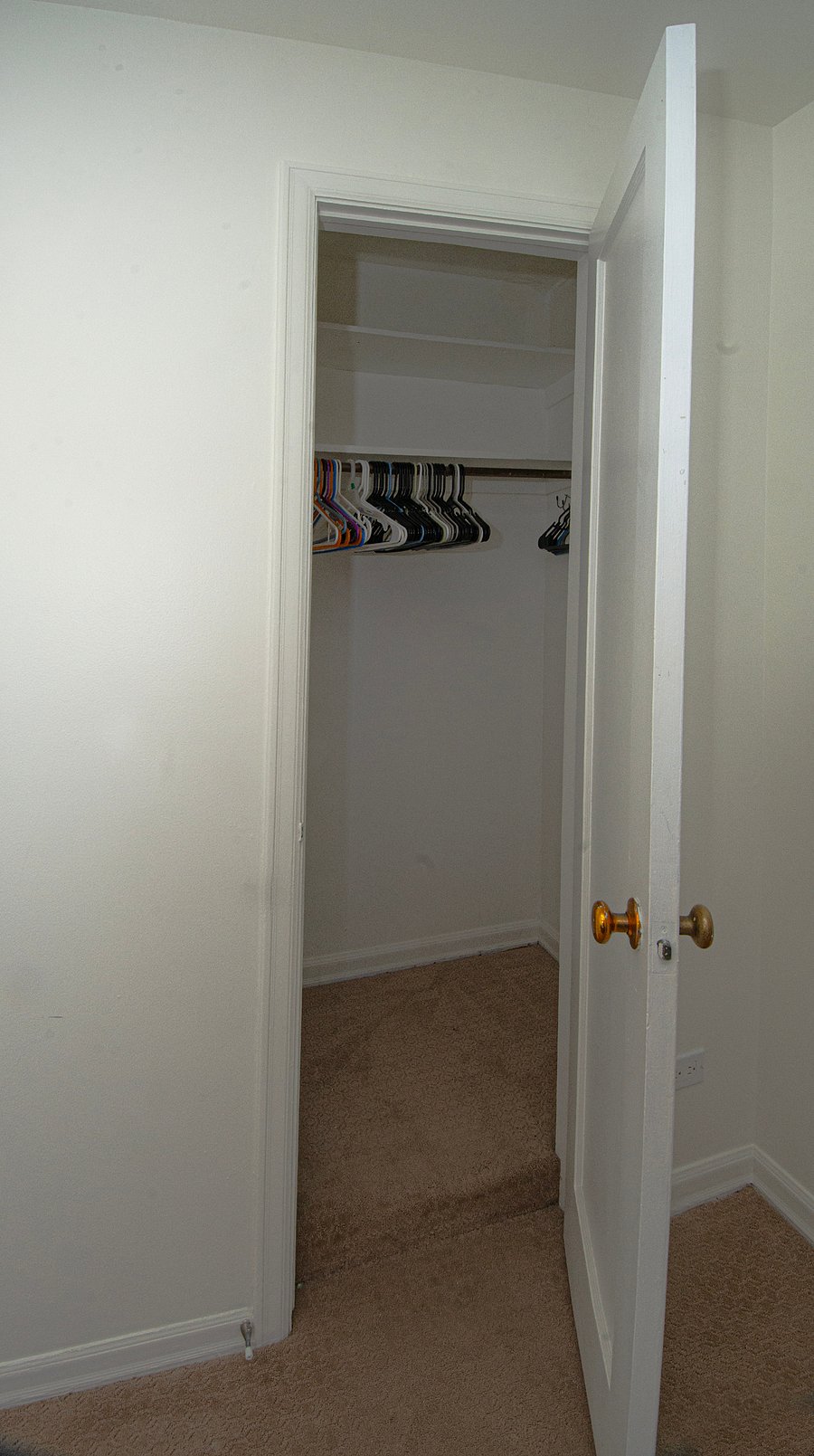 Furnished Finder property 295751_1 photo 33