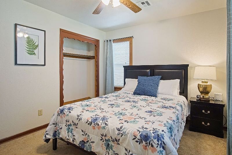 Furnished Finder property 295754_1 photo 16