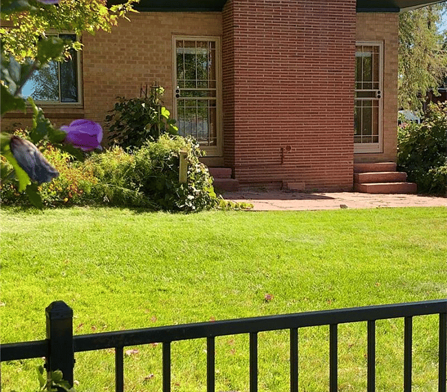 West side of house.