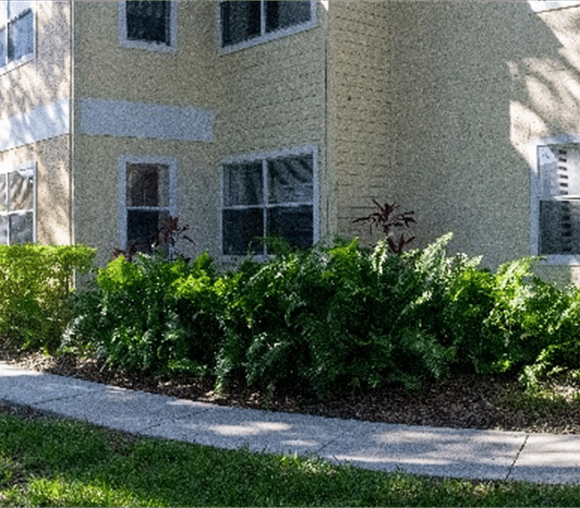 Furnished Finder property 296046_1 photo 18