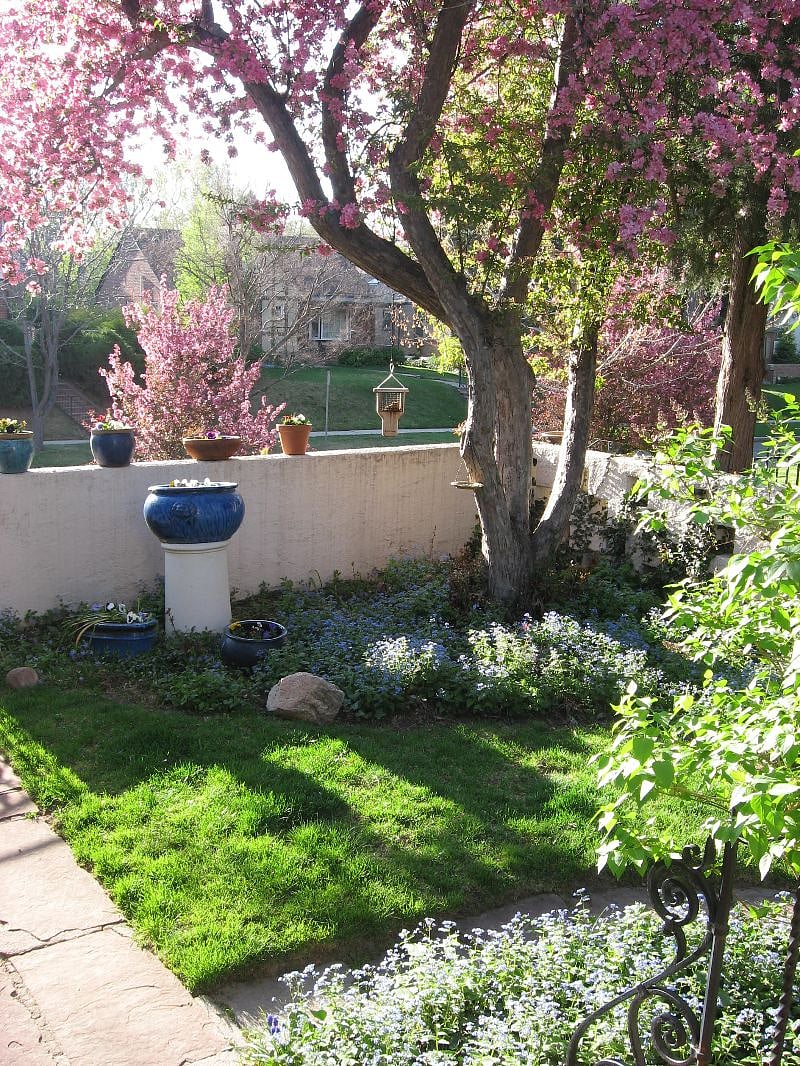 Furnished Finder property 296162_1 photo 6