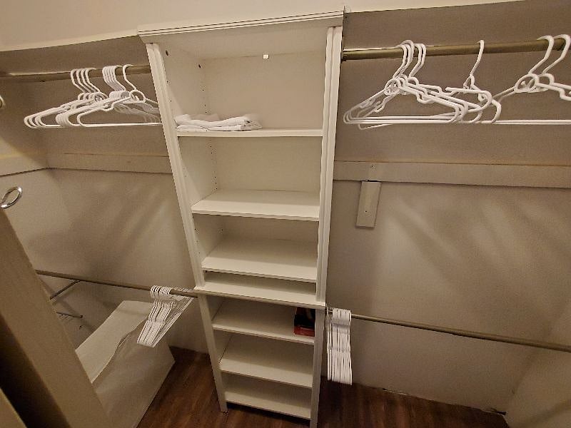 A view of the large closet