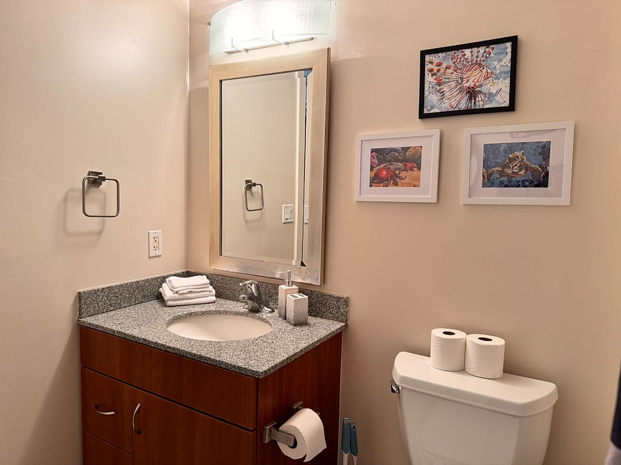 Furnished Finder property 296316_2 photo 25